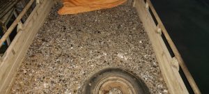 प्रेस विज्ञप्ति
दिनांकर : 03.12.2025
स्थानर : खोरीमहुआ

*खनिज संसाधनों की अवैध ढुलाई पर प्रशासन की बड़ी कार्रवाई*
*दो मिनी ट्रक ढिबरा समेत जब्त, संचालकों पर कार्रवाई प्रारंभ*

खोरीमहुआ अनुमंडल क्षेत्र में खनिज संसाधनों की अवैध ढुलाई एवं खनन गतिविधियों पर अंकुश लगाने के उद्देश्य से अनुमंडल पदाधिकारी, खोरीमहुआ श्री अनिमेश रंजन के नेतृत्व में दिनांक 02.12.2025 की देर रात विशेष छापेमारी अभियान चलाया गया। यह अभियान पूर्णतः गोपनीय सूचना के आधार पर संचालित किया गया, जिसमें बताया गया था कि इलाके में अवैध रूप से ढिबरा (माइका स्क्रैप) की ढुलाई की जा रही है।

सूचना प्राप्त होते ही अनुमंडल पदाधिकारी द्वारा स्थानीय थाना पुलिस के सहयोग से घोड़थम्बा-जमुआ मुख्य मार्ग में ढिबरा लदे दो मिनी ट्रक पकड़े गए। दोनों वाहनों को तत्काल जप्त कर धनवार थाना की अभिरक्षा में सुरक्षित रखा गया है तथा आगे की कार्रवाई की जा रही है। 

अनुमंडल पदाधिकारी श्री अनिमेश रंजन ने कहा कि इस क्षेत्र में लंबे समय से अवैध खनन एवं ढिबरा परिवहन का नेटवर्क सक्रिय था, जिसे समाप्त करने के उद्देश्य से यह अभियान चलाया गया है। उन्होंने स्पष्ट कहा कि अनुमंडल क्षेत्र में अवैध खनन एवं ढुलाई में संलिप्त किसी भी व्यक्ति को छोड़ा नहीं जाएगा। खनिज माफियाओं के विरुद्ध कठोर दंडात्मक कार्रवाई की जाएगी। प्रशासन सतत निगरानी कर रहा है और भविष्य में भी ऐसे अभियान जारी रहेंगे। उन्होंने यह भी कहा कि अवैध खनन से सिर्फ सरकारी राजस्व की क्षति ही नहीं होती, बल्कि इससे पर्यावरण व प्राकृतिक संसाधनों को भी गंभीर नुकसान पहुंचता है। इसीलिए प्रशासन इस प्रकार की सभी अवैध गतिविधियों पर पूर्ण विराम लगाने के लिए प्रतिबद्ध है।