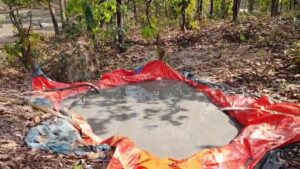 गिरिडीह: तिसरी प्रखंड के असुरहड्डी जंगल में लिथियम के संभावित भंडार मिलने की खबर से इलाके में हड़कंप मच गया है। जानकारी मिलते ही  (GSI) की टीम सक्रिय हो गई है और पिछले दो दिनों से लगातार क्षेत्र में सर्वे कार्य कर रही है।
स्थानीय स्तर पर यह खबर तेजी से फैल रही है, जिससे पूरे गिरिडीह जिले में सनसनी का माहौल है। हालांकि GSI की टीम ने इस मामले को फिलहाल गोपनीय बताते हुए आधिकारिक पुष्टि नहीं की है, लेकिन सर्वे कार्य में तेजी लाई गई है।
बताया जाता है कि असुरहड्डी जंगल का इलाका पहले से ही खनिज संपदा के लिए जाना जाता रहा है। यहां वर्षों से अभ्रक (माइका) का अवैध खनन होता रहा है। इसके अलावा पोखराज और गोमेद जैसे कीमती पत्थरों की भी तस्करी होने की बात सामने आती रही है, जो कथित तौर पर राजस्थान और सिंगापुर तक पहुंचाए जाते थे।
अब लिथियम जैसे महत्वपूर्ण खनिज की संभावित मौजूदगी की खबर ने इस क्षेत्र को और अधिक चर्चित बना दिया है। यदि भविष्य में इसकी आधिकारिक पुष्टि होती है, तो यह न केवल गिरिडीह बल्कि पूरे राज्य के लिए आर्थिक दृष्टि से बड़ा अवसर साबित हो सकता है।
फिलहाल सभी की नजरें GSI की आगामी रिपोर्ट पर टिकी हैं, जिससे इस पूरे मामले की वास्तविक स्थिति स्पष्ट हो सकेगी।