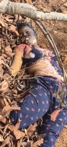 गिरिडीह। जिले के तिसरी प्रखंड अंतर्गत लोकई थाना क्षेत्र के नारोटांड़ जंगल में एक महिला का अधजला शव मिलने से पूरे इलाके में सनसनी फैल गई। शव मिलने की सूचना मिलते ही आसपास के ग्रामीणों की भारी भीड़ मौके पर जुट गई।
घटना की जानकारी मिलने पर अमित कुमार चौधरी के नेतृत्व में पुलिस टीम मौके पर पहुंची और शव को कब्जे में लेकर जांच शुरू कर दी। प्रारंभिक तौर पर शव की स्थिति देखकर आशंका जताई जा रही है कि महिला की हत्या करने के बाद साक्ष्य छिपाने के उद्देश्य से शव को जलाने का प्रयास किया गया है।
पुलिस के अनुसार शव एक-दो दिन पुराना प्रतीत हो रहा है। फिलहाल महिला की पहचान नहीं हो सकी है और शव की शिनाख्त कराने का प्रयास किया जा रहा है।
घटना के बाद इलाके में दहशत का माहौल है। पुलिस आसपास के लोगों से पूछताछ कर रही है और हत्या के पीछे के कारणों का पता लगाने में जुटी हुई है।